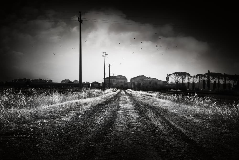 Dramatic Country Road by Nicodemo Quaglia — canvas wall art