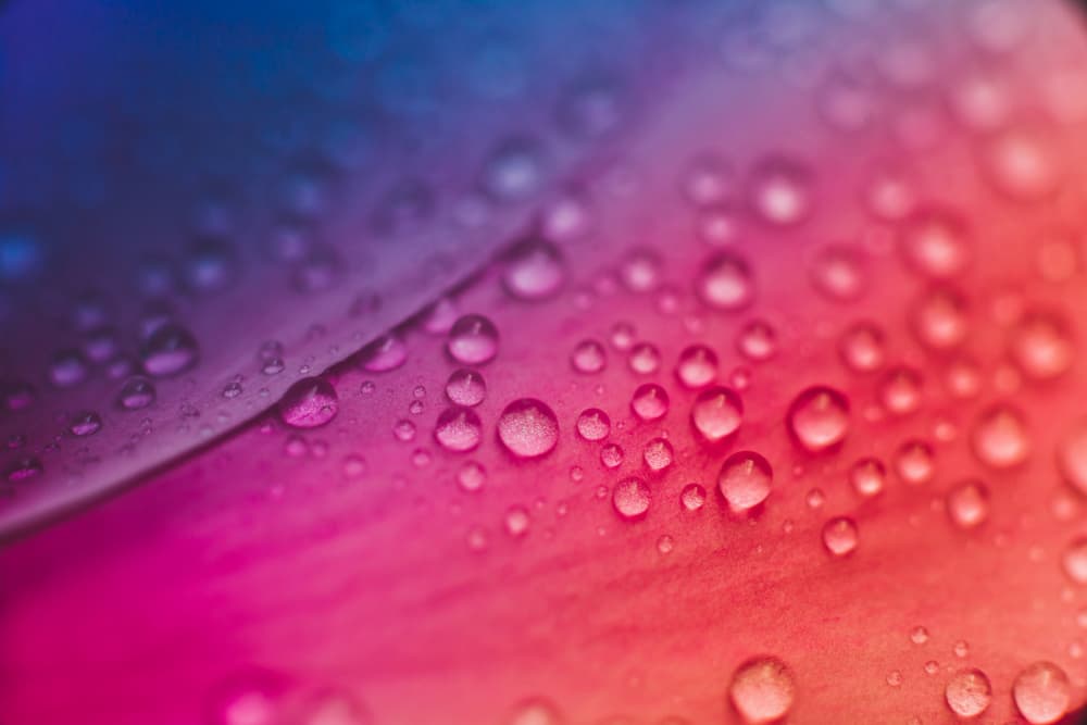 Rainbow Water Drops by Javier Pardina — canvas wall art