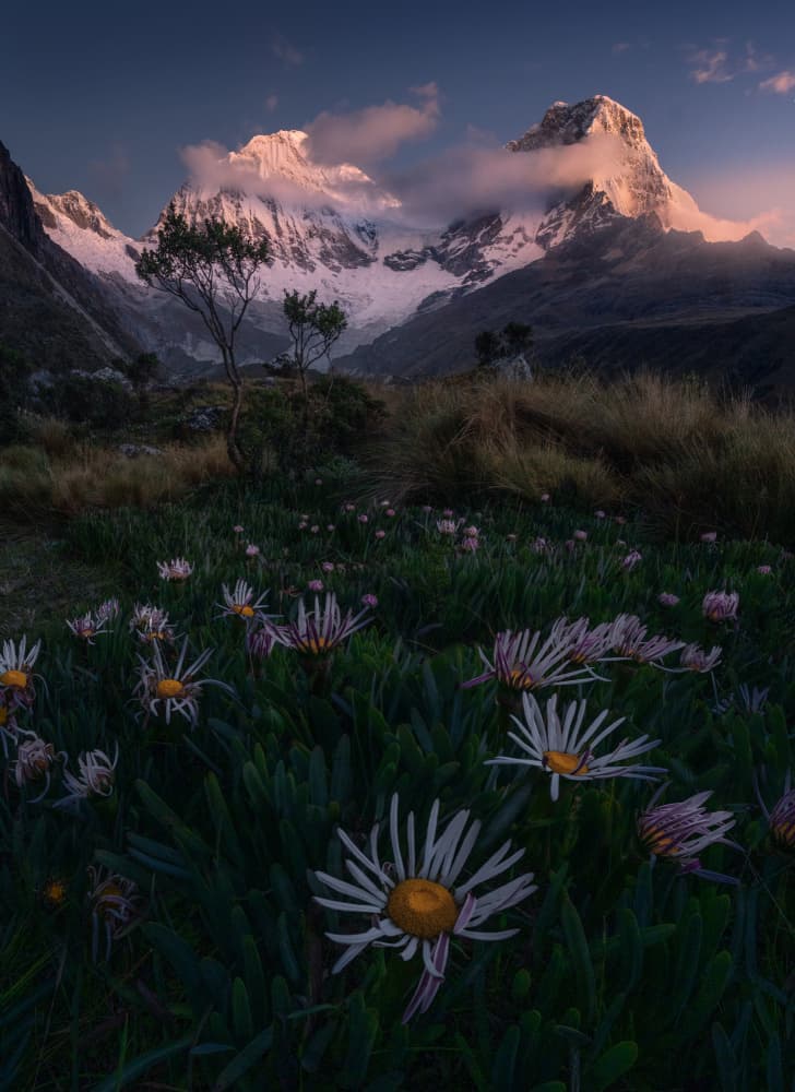 Sunrise Alpine Meadow by Ruiqing P. — canvas wall art