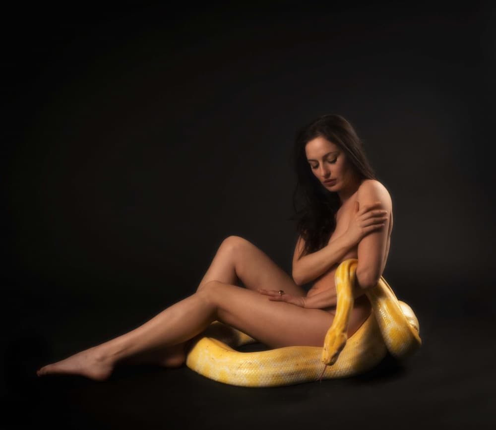 Golden Python Embrace by Svetlana Kirzh — canvas wall art