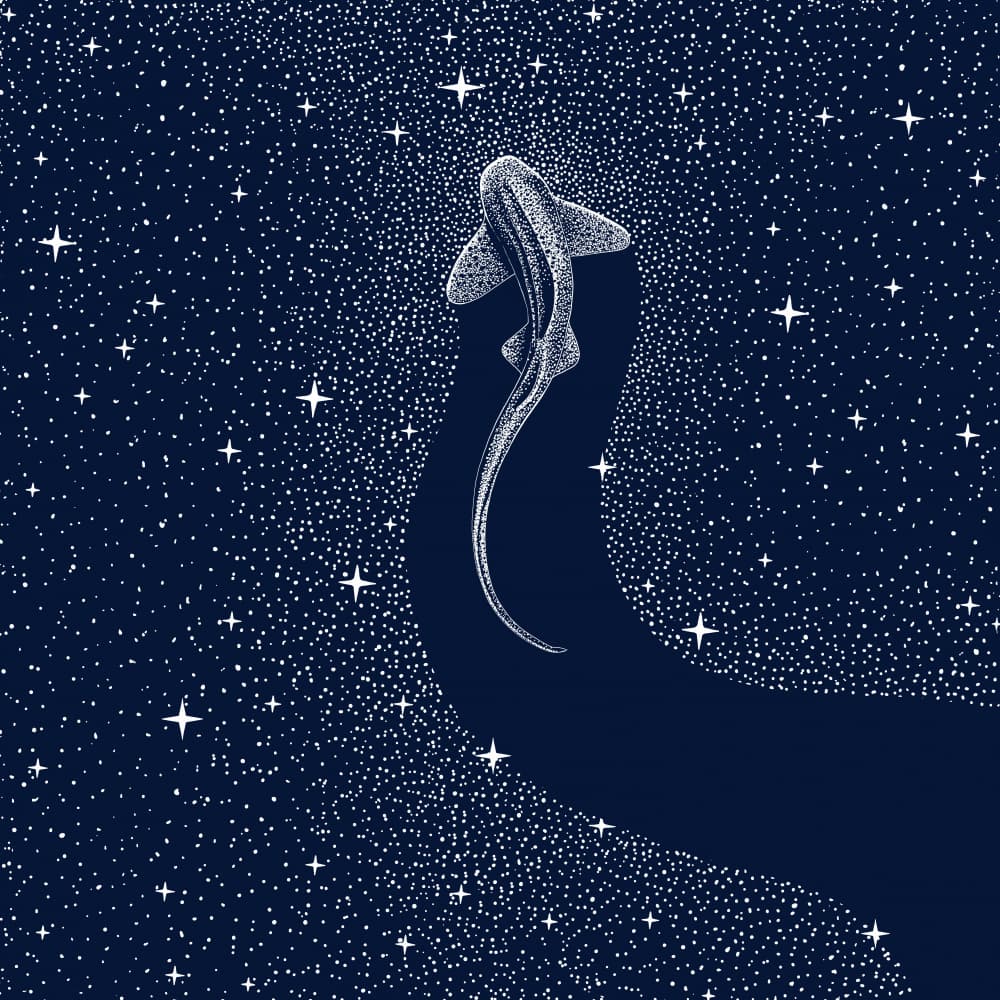 Cosmic Shark by Alirıza ÇAKIR — canvas wall art