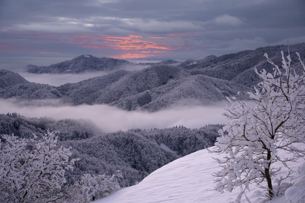 Misty Mountain Dawn by Jure Kravanja — canvas wall art