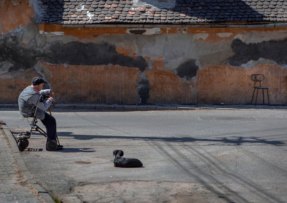 Old Man and Dog by Clas Gustafson PRO — canvas wall art
