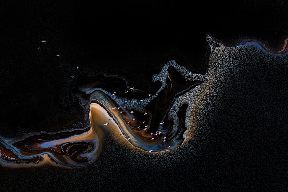 Pink Flamingos Swirling Waters by Henry Zhao — canvas wall art