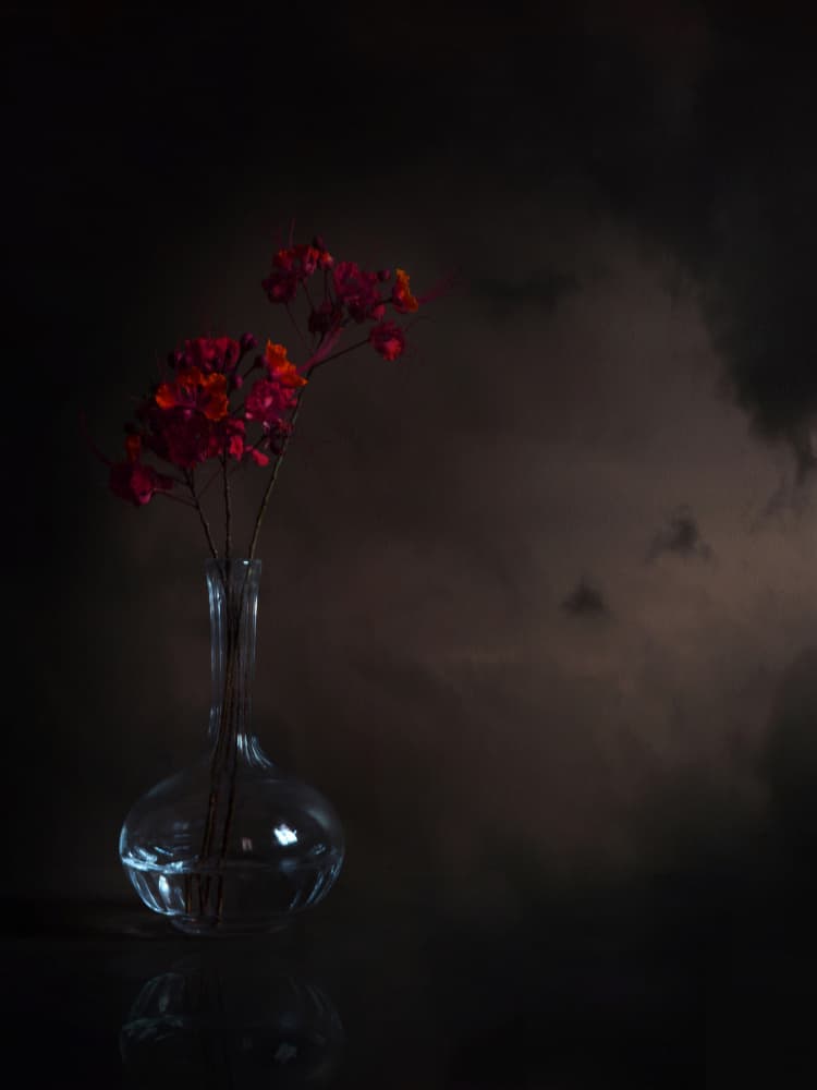 Moody Red Flowers by Margaret Halaby — canvas wall art