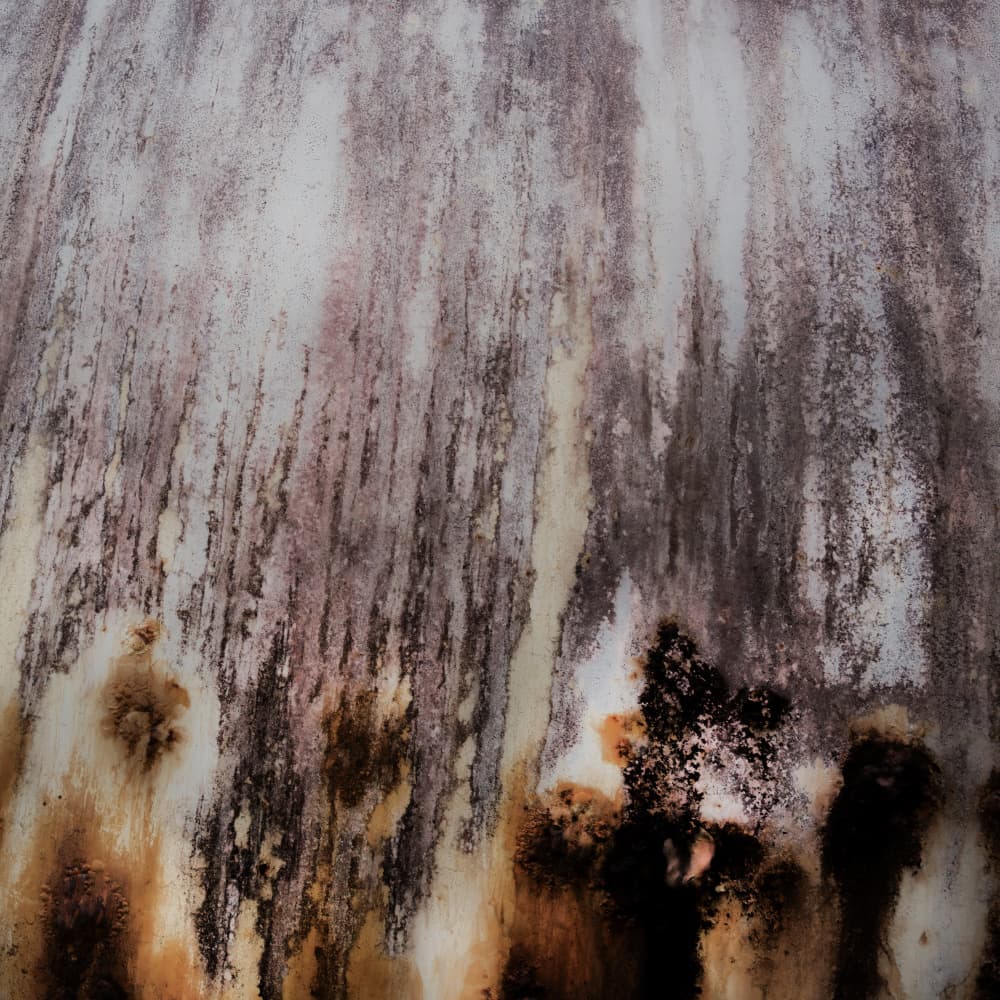 Weathered Organic Streaks by Studio Meikle — canvas wall art