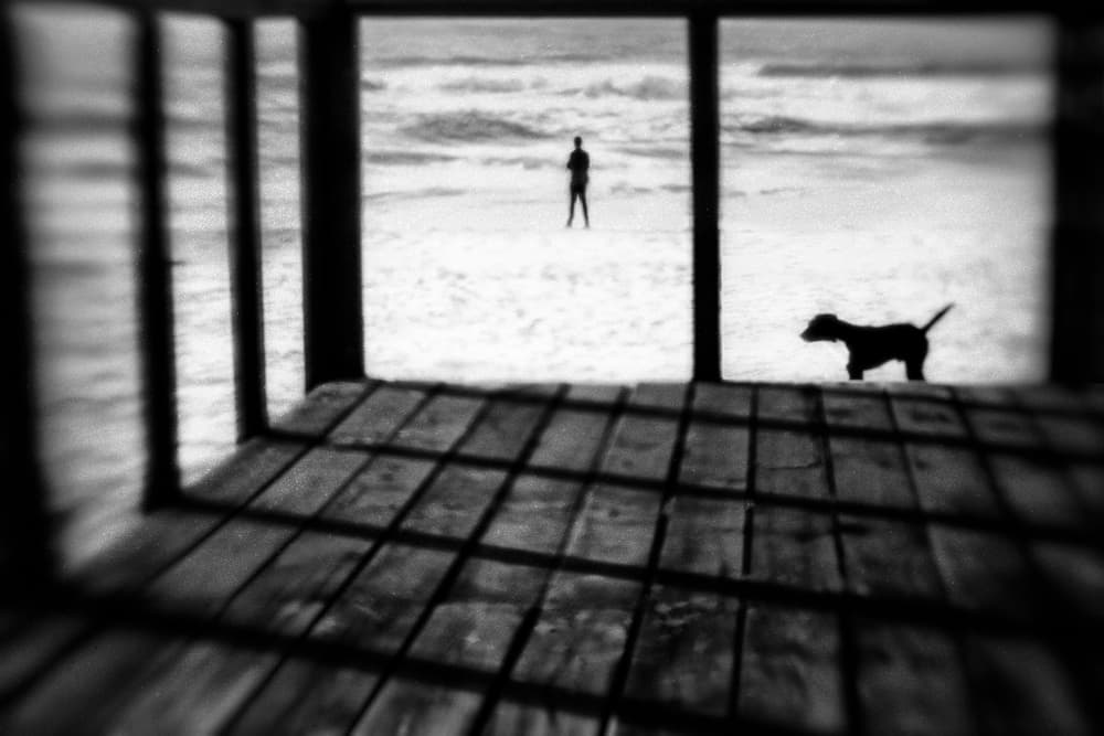 Dog And Person Beach by Paulo Abrantes — canvas wall art