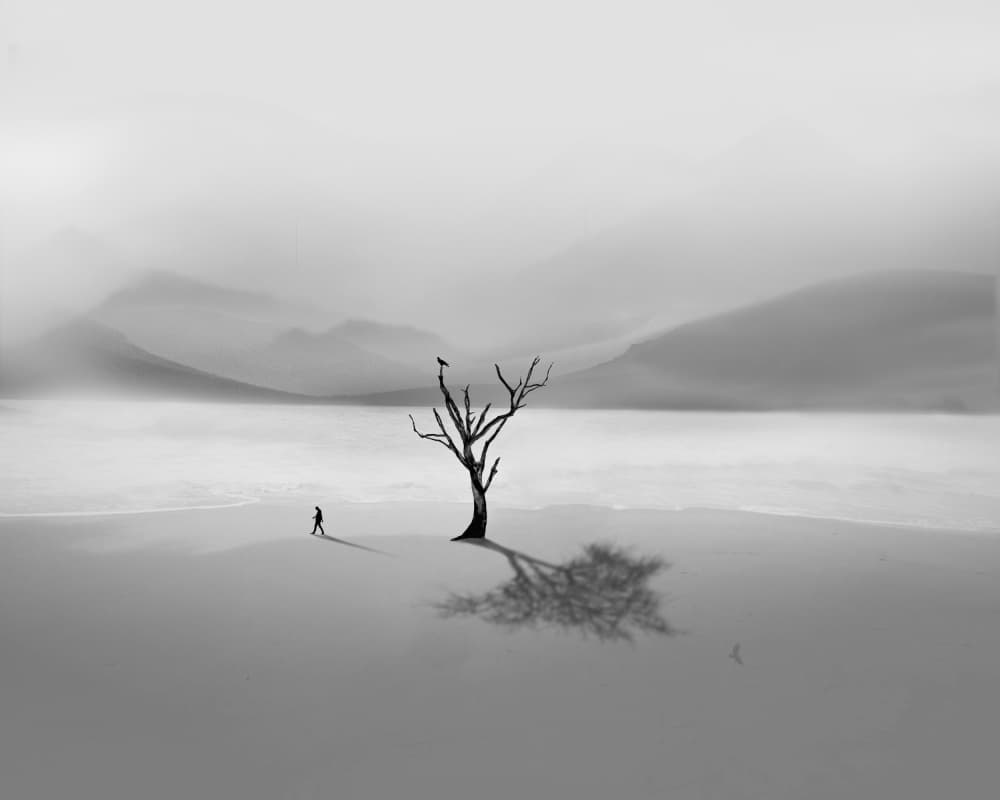 Solitary Figure Lone Tree by Hadi Malijani (Malenjani) — canvas wall art
