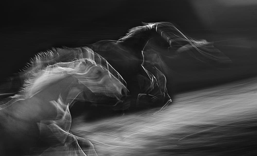 Wild Horses Running by Milan Malovrh — canvas wall art