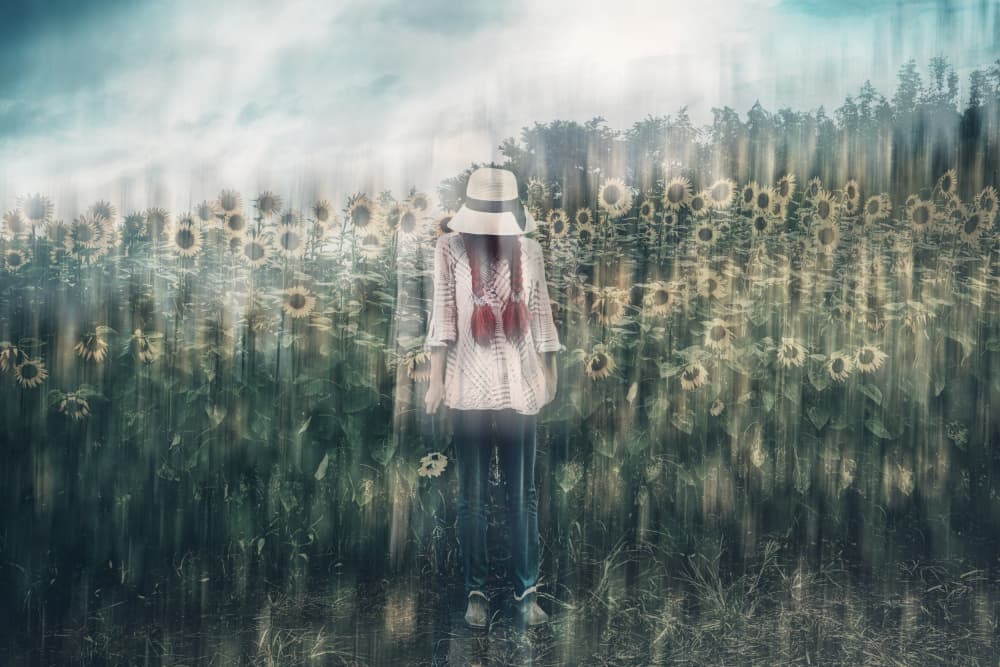 Dreamy Sunflower Solitude by Takiko Hirai — canvas wall art