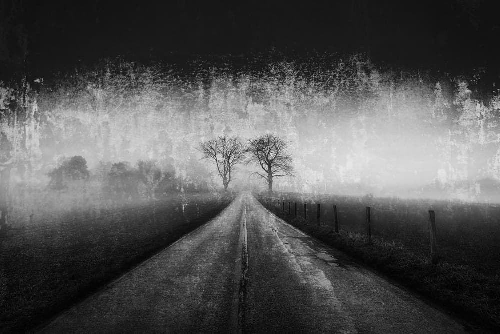 Lonely Winter Road by Adam Dauria ☂ — canvas wall art