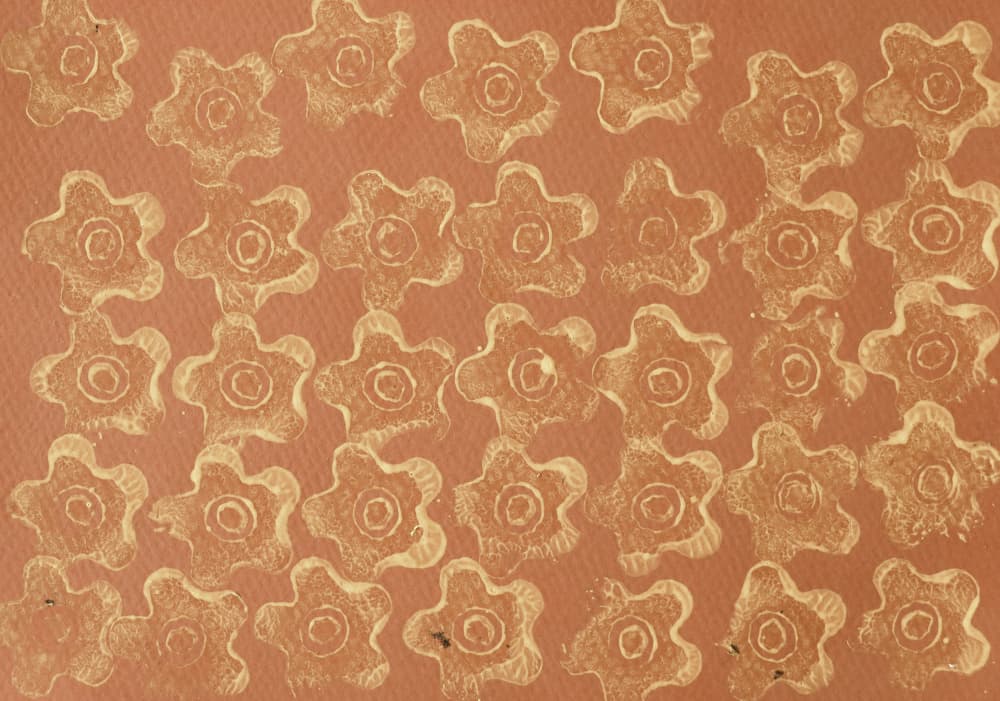 Organic Star Pattern by Santhosh ch — canvas wall art