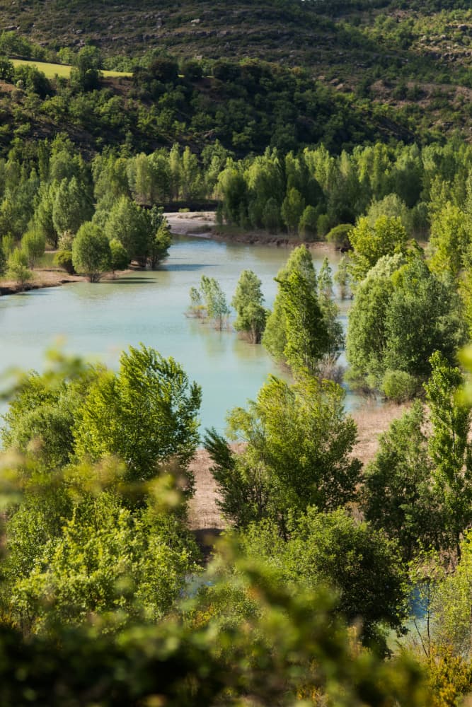 Peaceful Forest Lake by Javier Pardina — canvas wall art