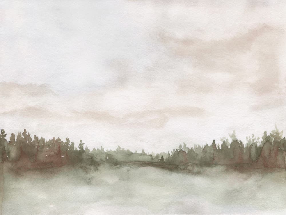 Misty Forest Morning by Kathrin Pienaar — canvas wall art