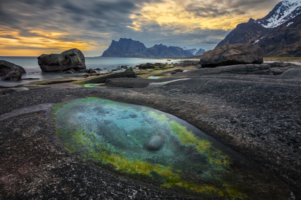 Vibrant Tide Pool Coast by Herbert Rong — canvas wall art