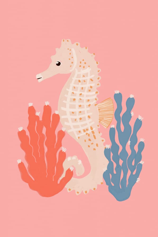Cute Seahorse Coral by Treechild — canvas wall art