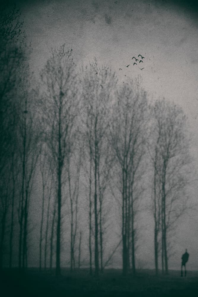 Misty Forest Lone Man by Jacob Tuinenga — canvas wall art