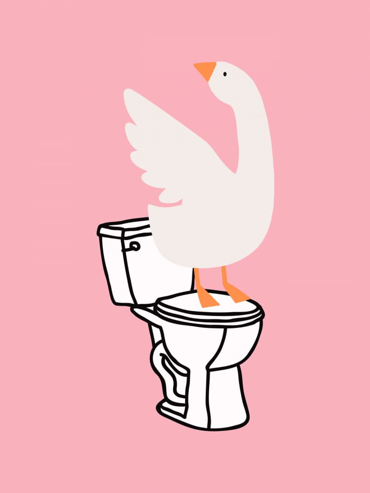 Silly Goose on Toilet by Jolly and Dash — canvas wall art