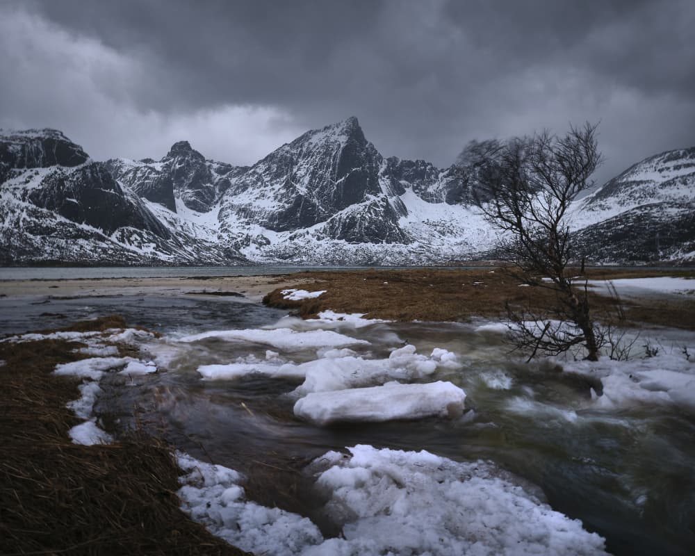 Dramatic Winter Fjord by Hamed Bank — canvas wall art