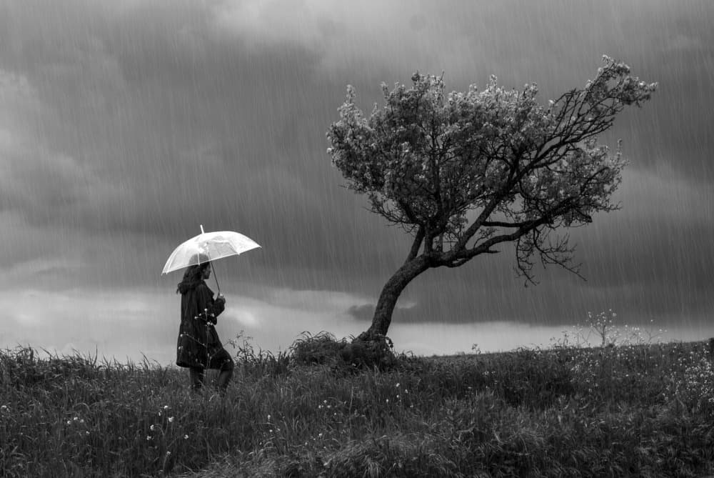 Solitary Umbrella Walk by Ummu Nisan Kandilcioglu — canvas wall art