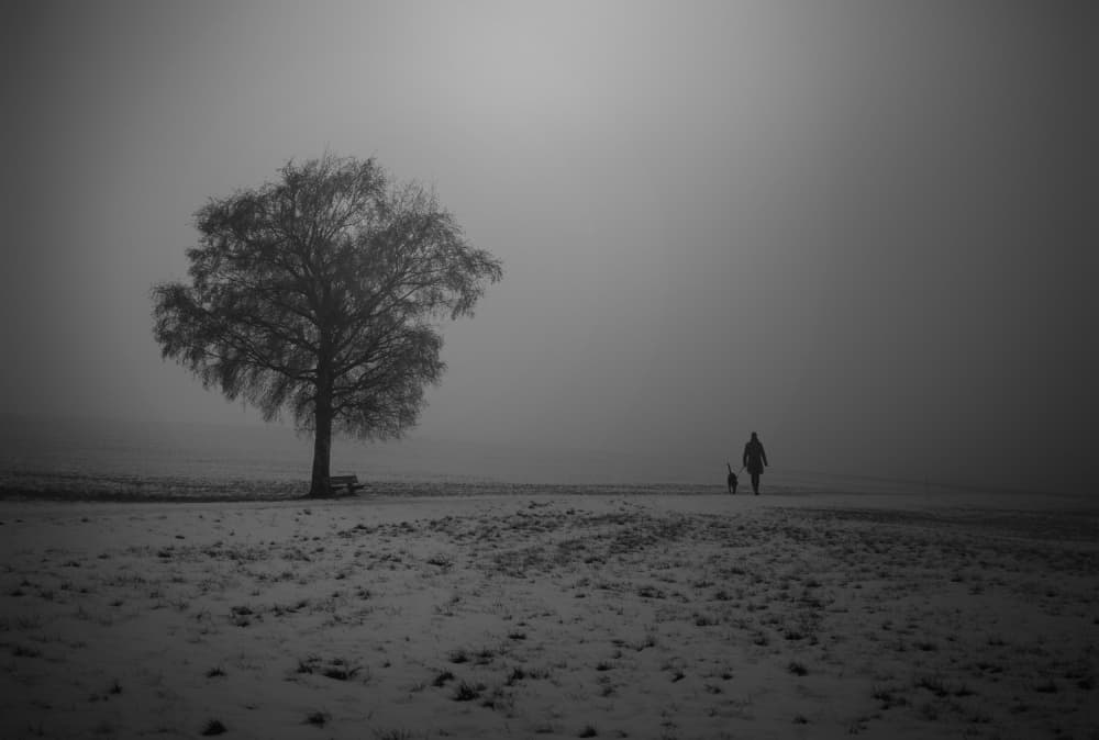 Winter Walk Through Fog by Margit Lisa Pinggera — canvas wall art