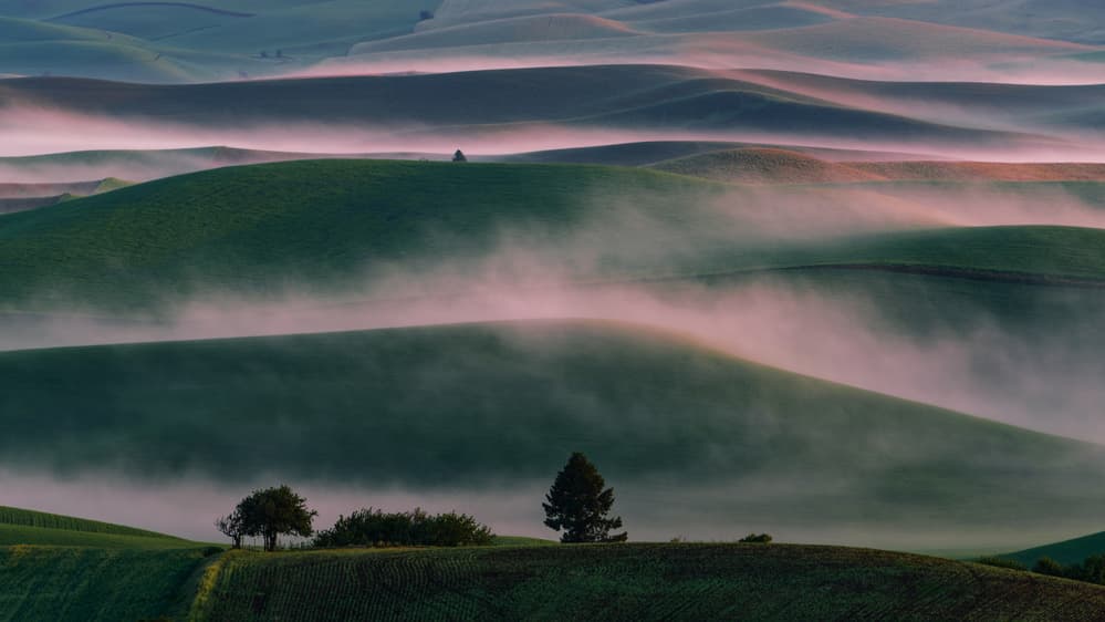 Rolling Morning Mist by 李从军 / Austin Li — canvas wall art