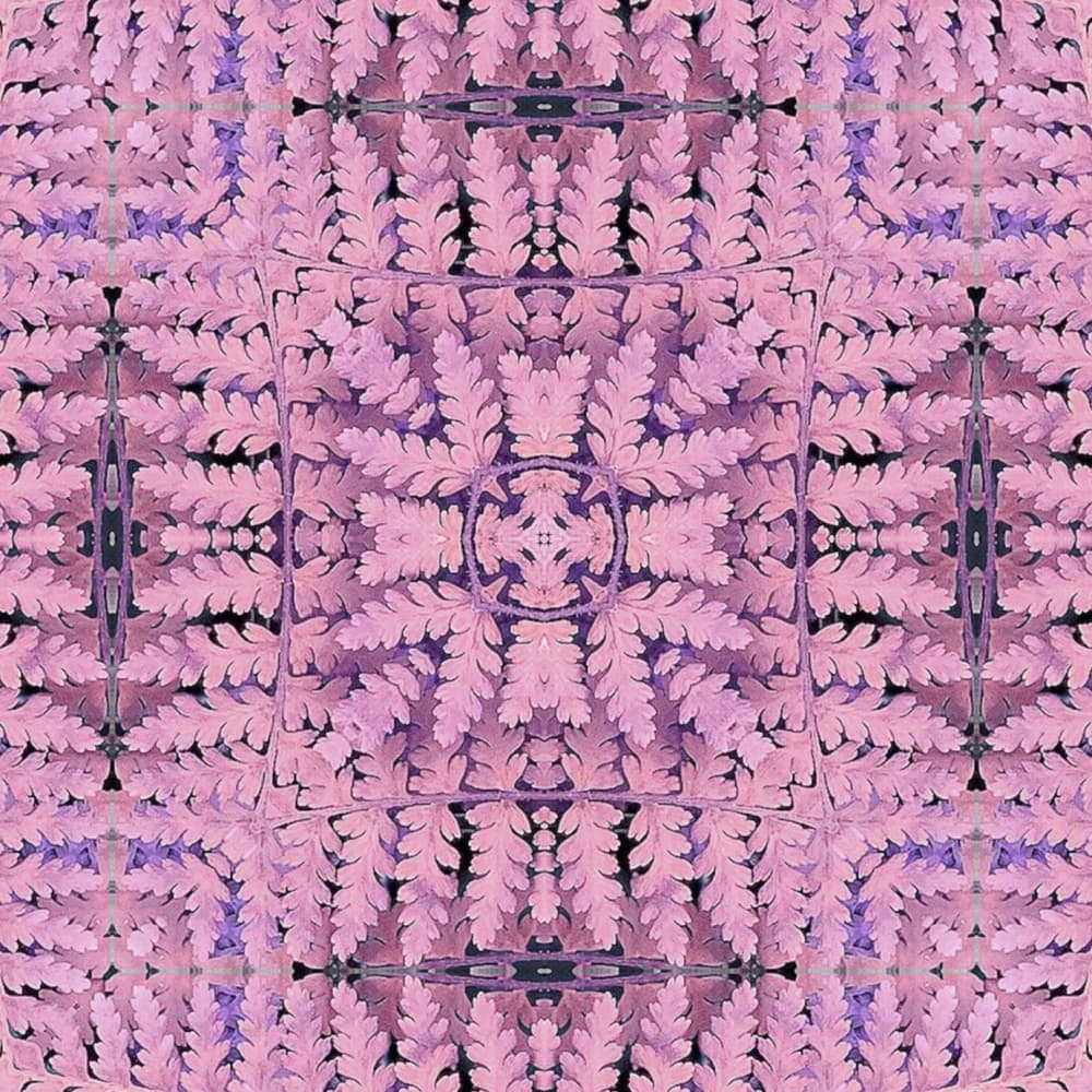 Pink Fern Kaleidoscope by Patricia Pedraza Sanson — canvas wall art