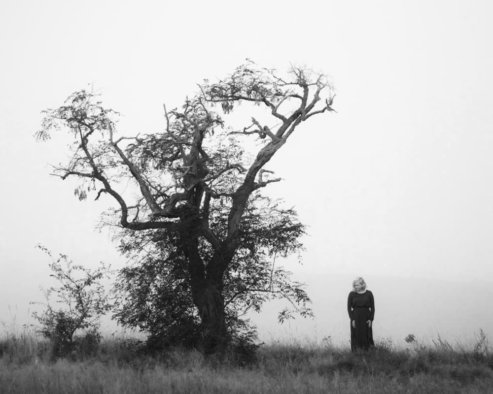 Solitary Figure Misty Tree by Leszek Paradowski — canvas wall art