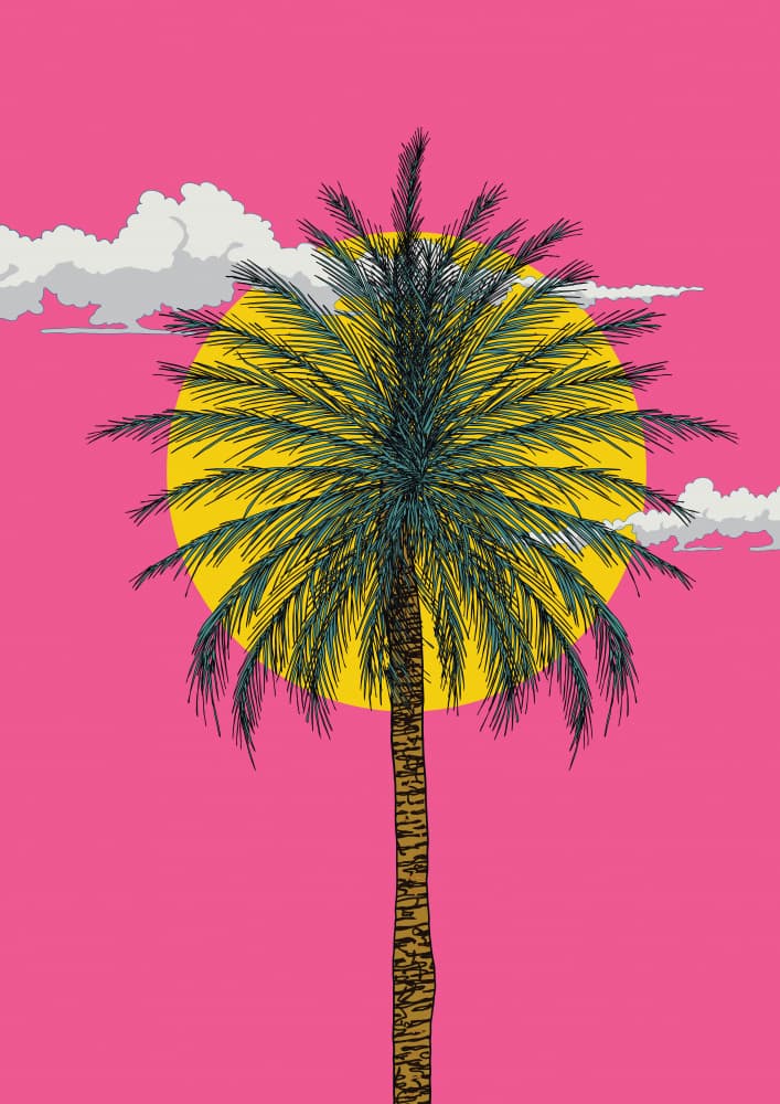 Palm Tree by Nicholas — canvas wall art