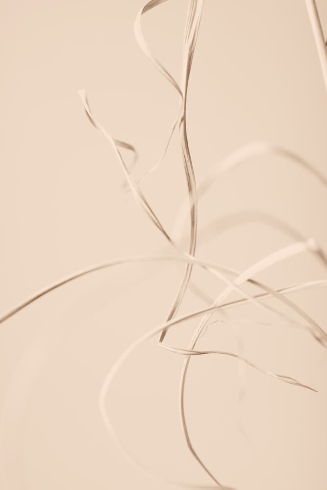Abstract Wavy Lines by Pictufy Studio III — canvas wall art