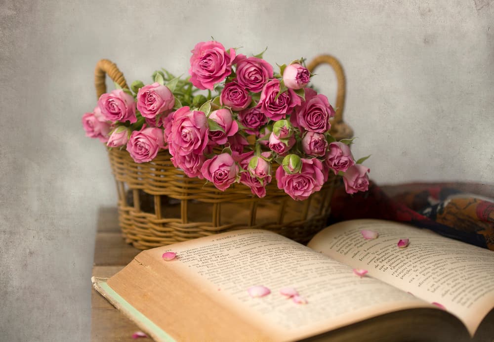 Cozy Reading With Roses by Margareth Perfoncio — canvas wall art