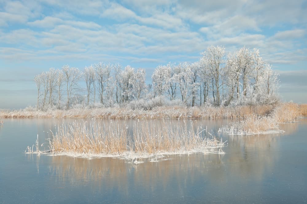 Frosted Winter Lake by Piet Haaksma — canvas wall art