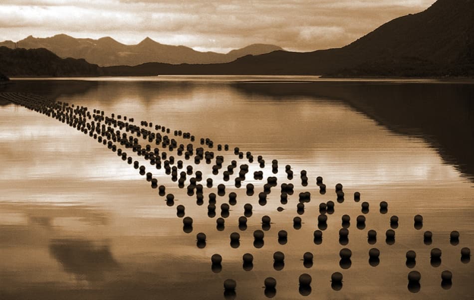 Sepia Mussel Farm by Bror Johansson — canvas wall art