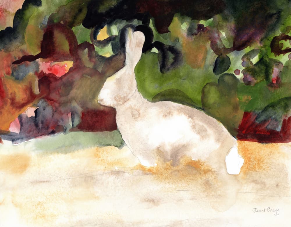 Peaceful Garden Rabbit by Janel Bragg — canvas wall art