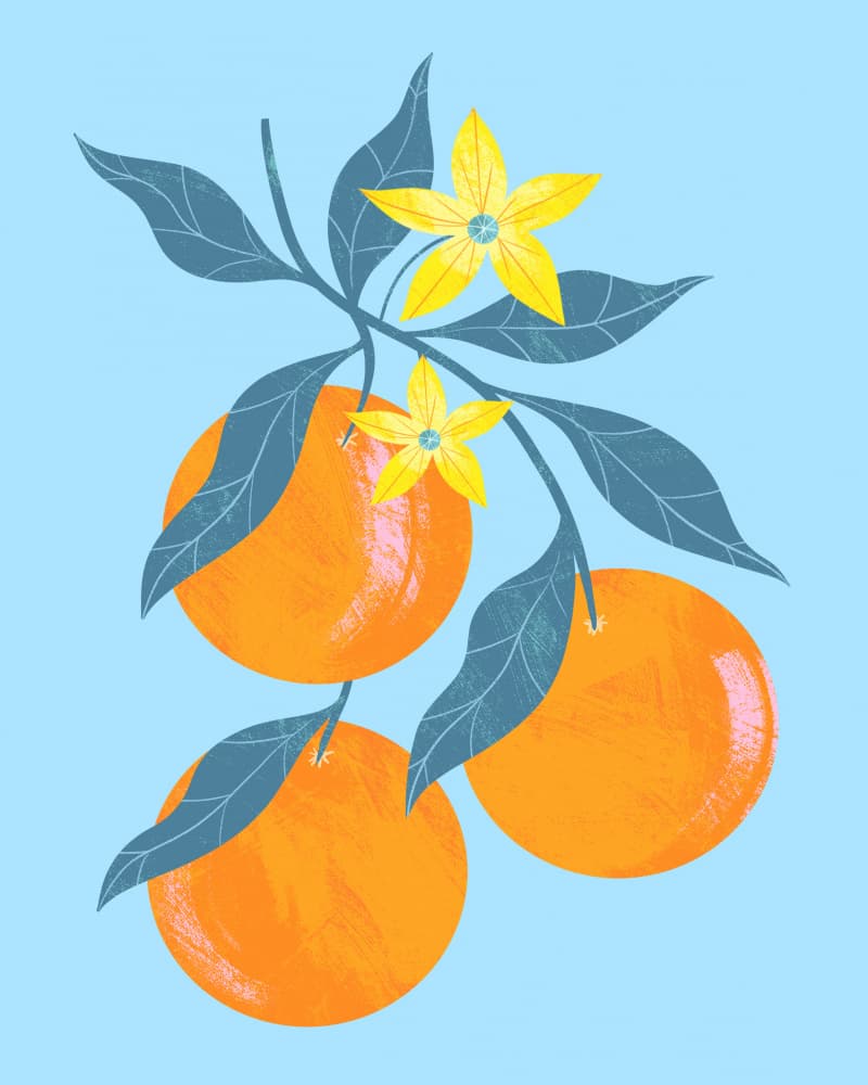 Orange Branch by Melissa Donne — canvas wall art