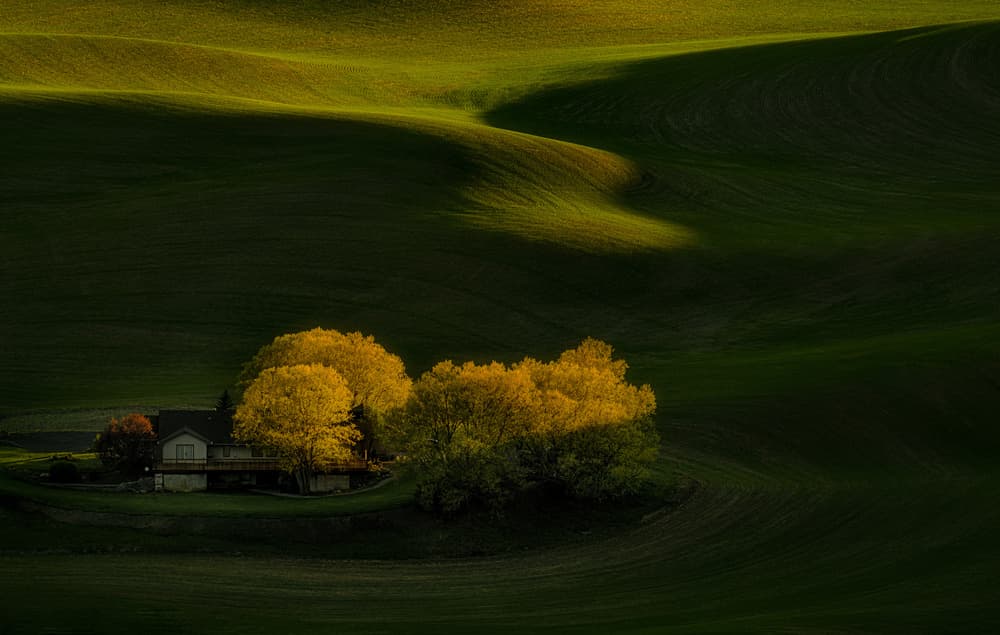 Golden Light Hillside Home by Lydia Jacobs — canvas wall art
