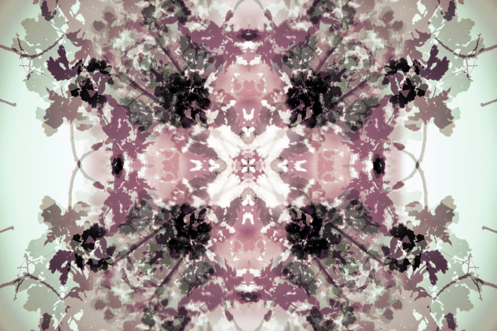 Muted Botanical Symmetry by Christina Sillen — canvas wall art