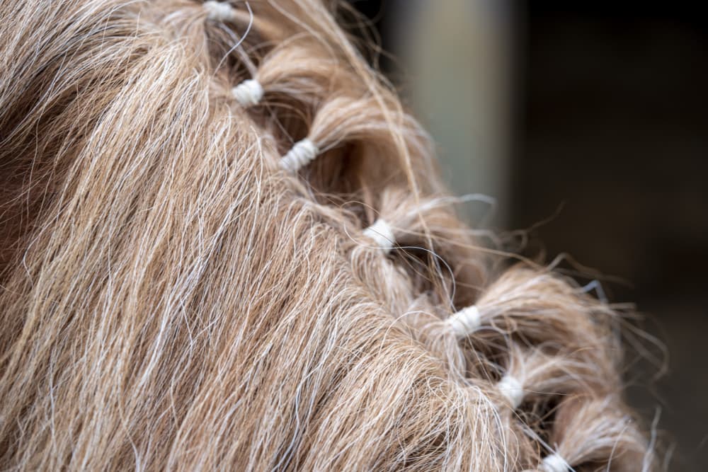Golden Mane Braids by Bilge Paksoylu — canvas wall art