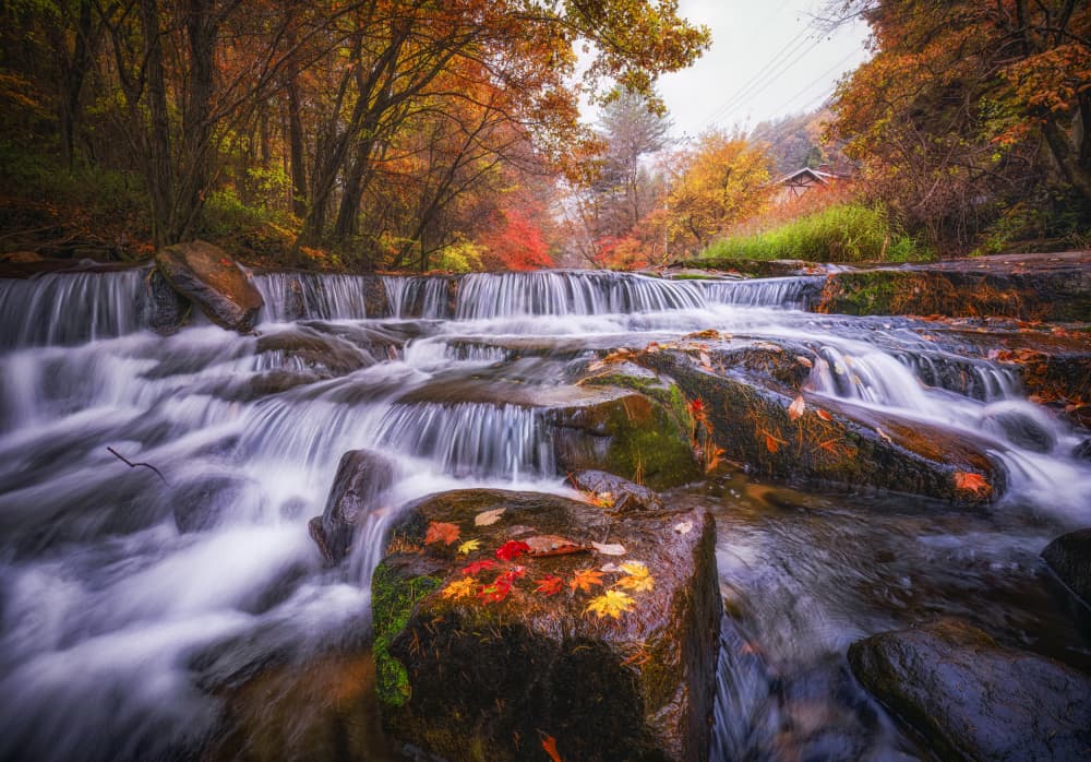 Vibrant Autumn Waterfall by Tiger Seo — canvas wall art