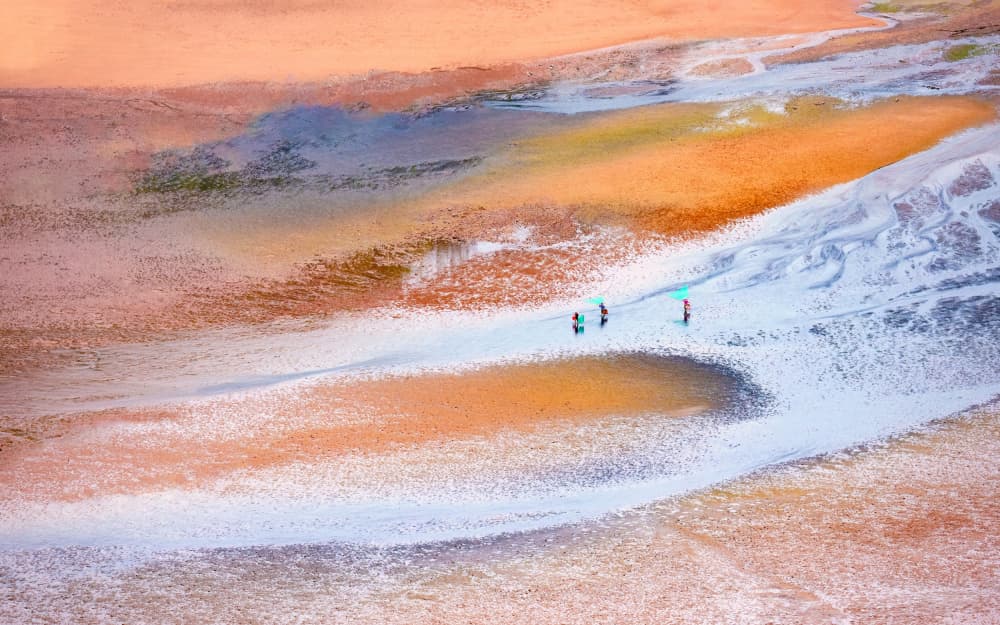 Walk on Tidal Flats by Songlin Xu — canvas wall art