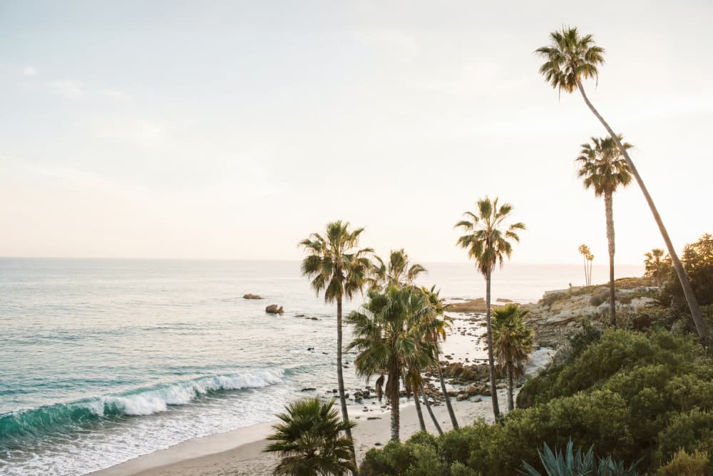 Laguna by Kathrin Pienaar — canvas wall art