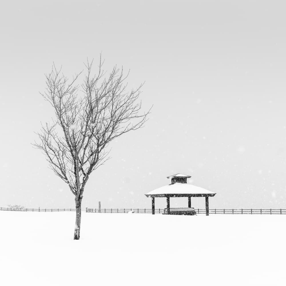 Snowy Winter Gazebo by Jana Luo — canvas wall art