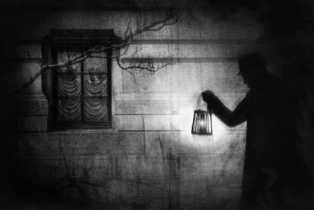 Mysterious Night Visitor by Teruhiko Tsuchida — canvas wall art