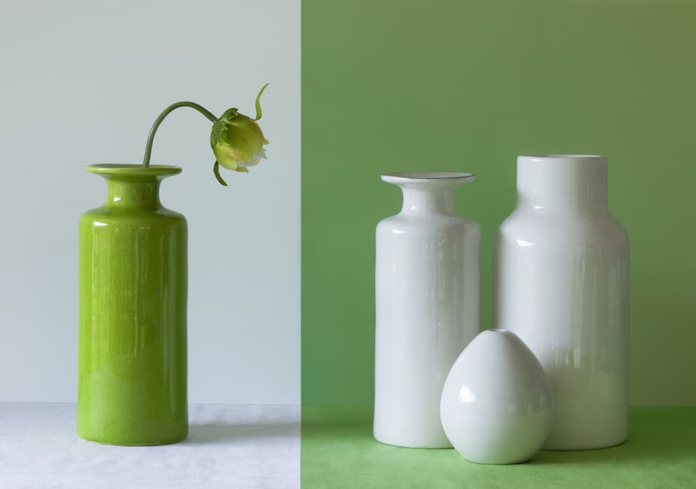 Modern Green Still Life by Jacqueline Hammer — canvas wall art