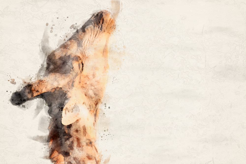 Graceful Giraffe Watercolor by Arno Du Toit — canvas wall art