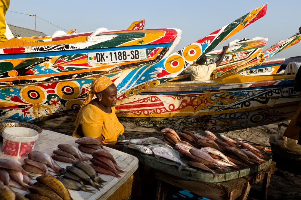 Senegalese Fish Market by Lorenzo Grifantini — canvas wall art