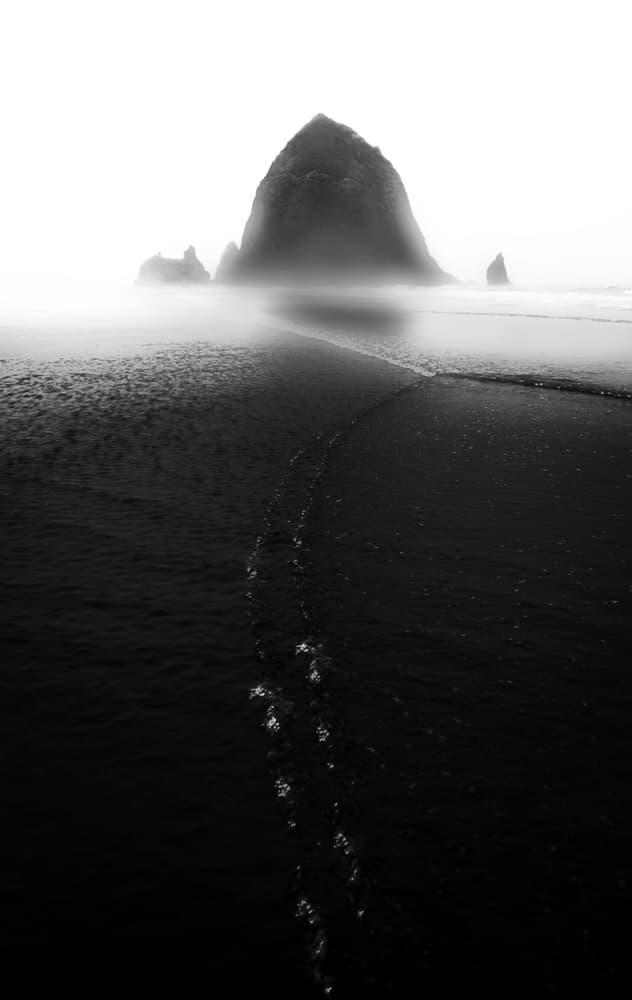 Misty Sea Stack Path by Larry Deng APA — canvas wall art