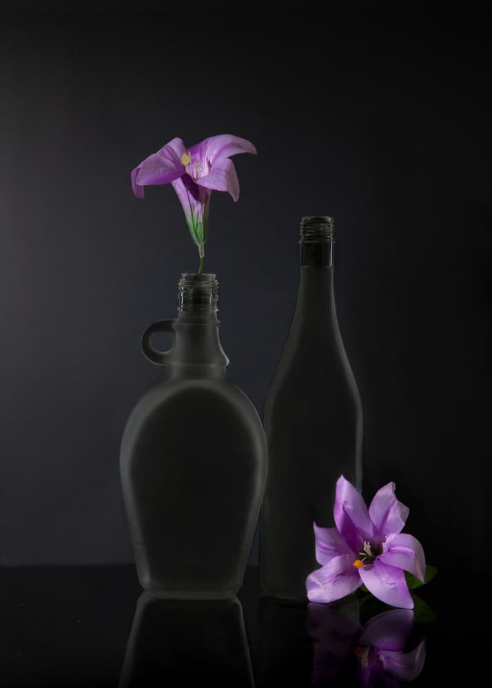 Dark Purple Still Life by Wendy Xu — canvas wall art