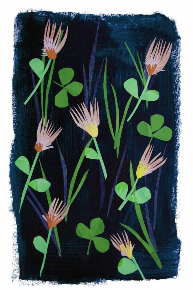 Night Meadow Bloom by Shelley Hampe — canvas wall art