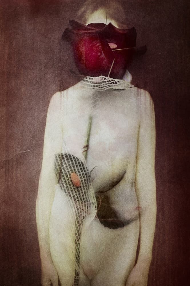 Red Rose Figure by Olga Mest — canvas wall art